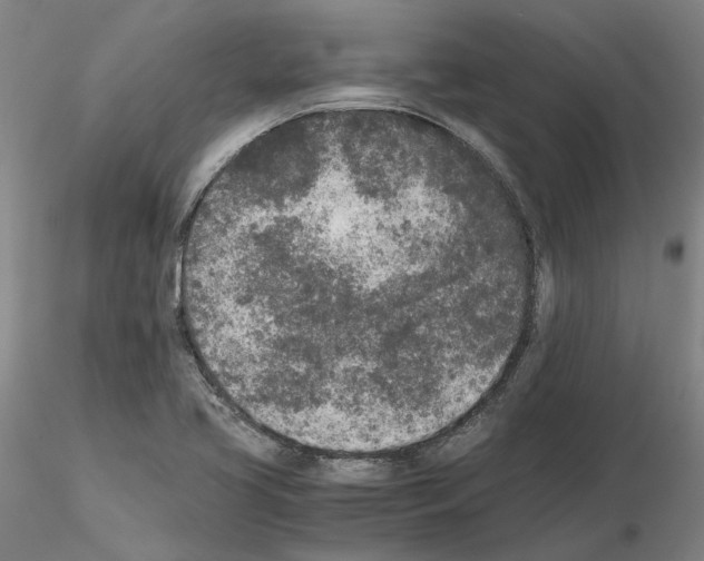 X0000115001413200912071129