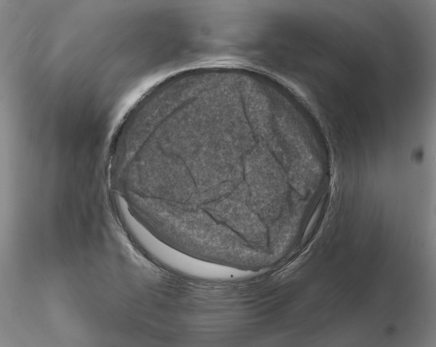 X0000115001414200912071129