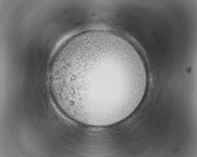 X0000115001416200912071129