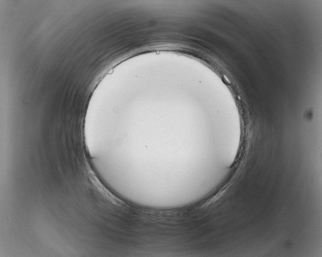 X0000115001417200912071129