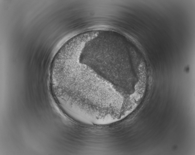 X0000115001418200912071129