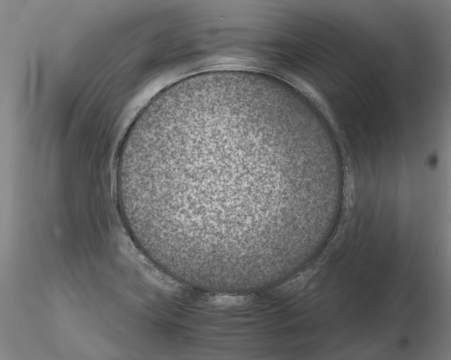 X0000115001419200912071129