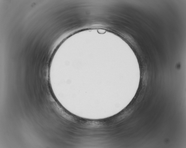 X0000115001420200912071129