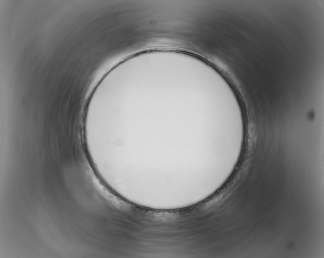 X0000115001421200912071129