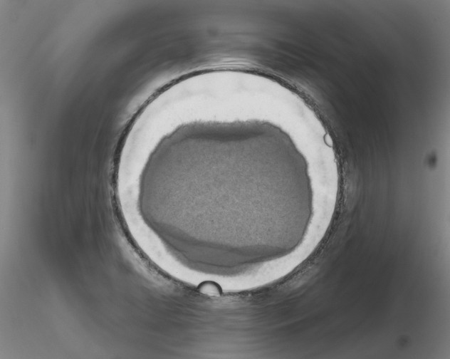 X0000115001422200912071129