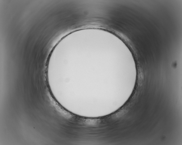 X0000115001423200912071129