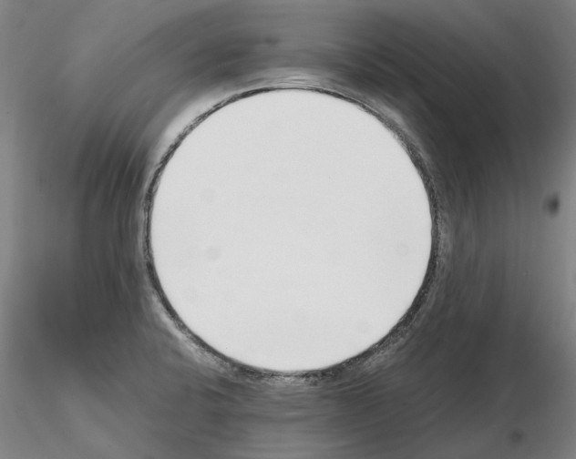 X0000115001424200912071129