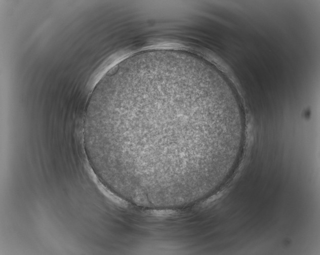 X0000115001425200912071129