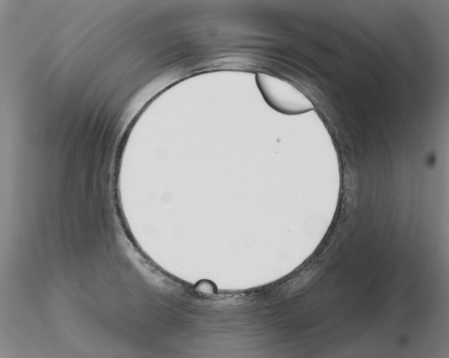 X0000115001426200912071129