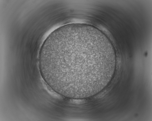 X0000115001427200912071129