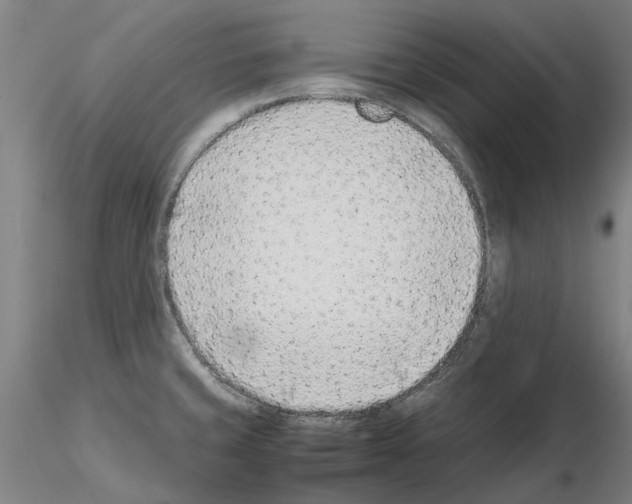 X0000115001429200912071129