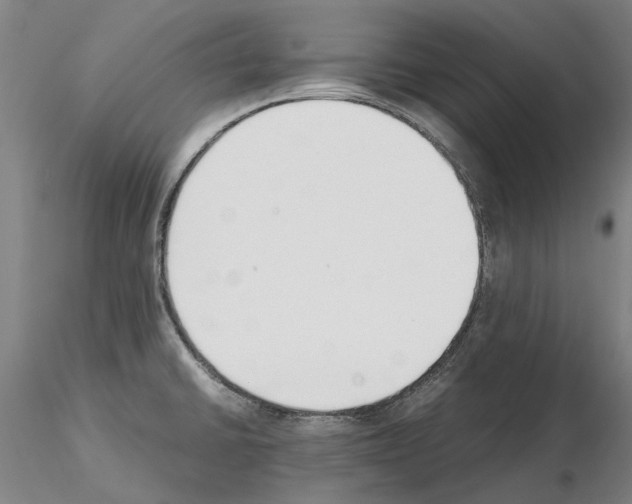 X0000115001430200912071129