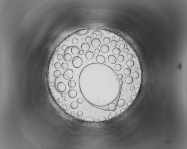 X0000115001432200912071129