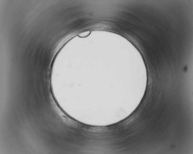 X0000115001434200912071129