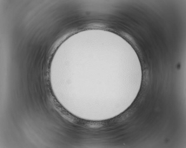 X0000115001435200912071129