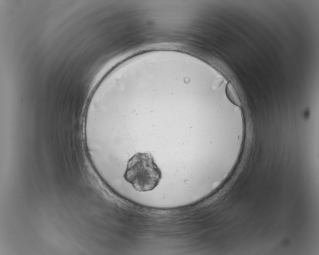 X0000115001436200912071129