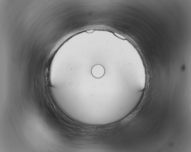 X0000115001438200912071129