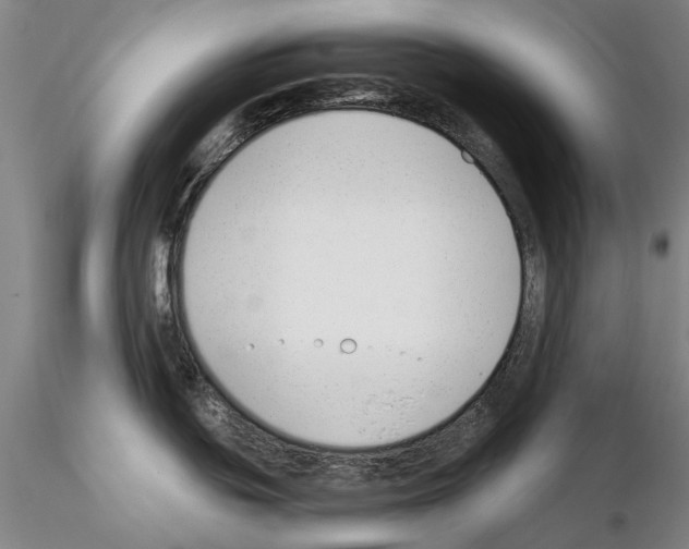 X0000115001439200912071129