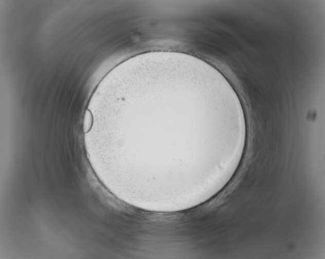 X0000115001440200912071129