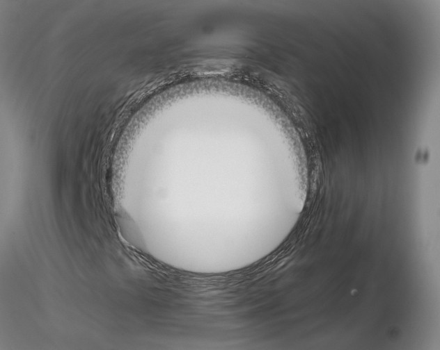 X0000115001441200912071129