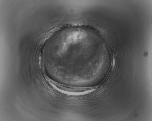 X0000115001444200912071129