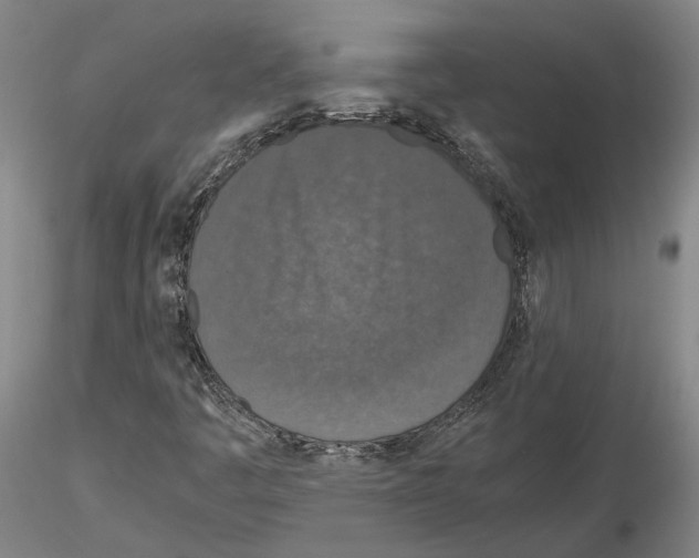 X0000115001445200912071129