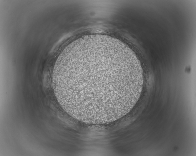 X0000115001446200912071129