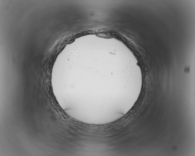 X0000115001447200912071128