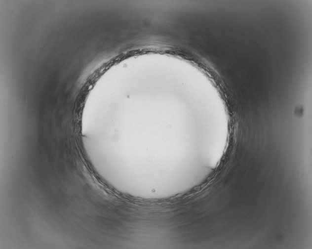 X0000115001448200912071128