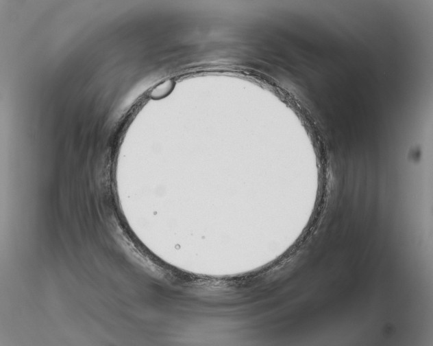 X0000115001450200912071128