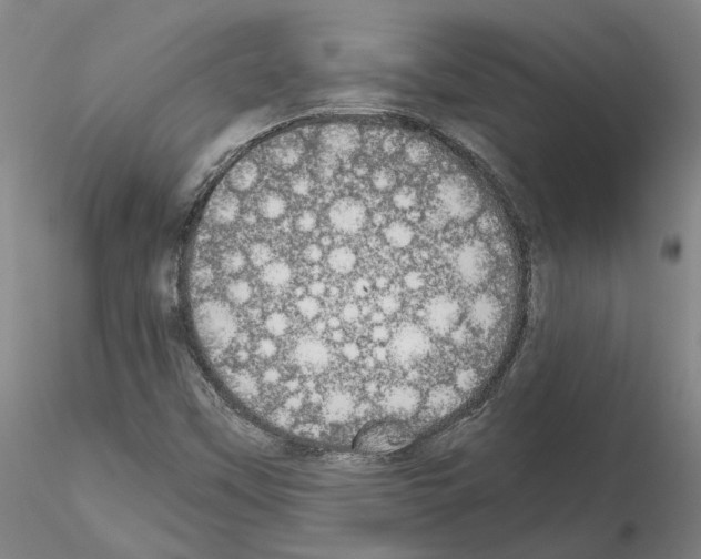 X0000115001451200912071128