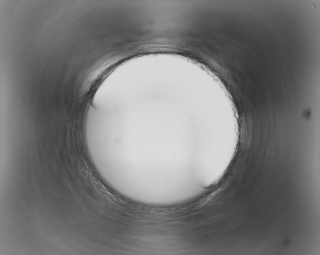 X0000115001453200912071128