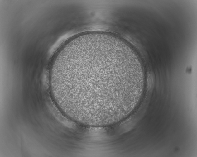 X0000115001454200912071128