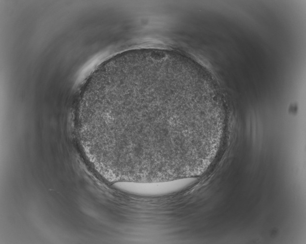 X0000115001455200912071128