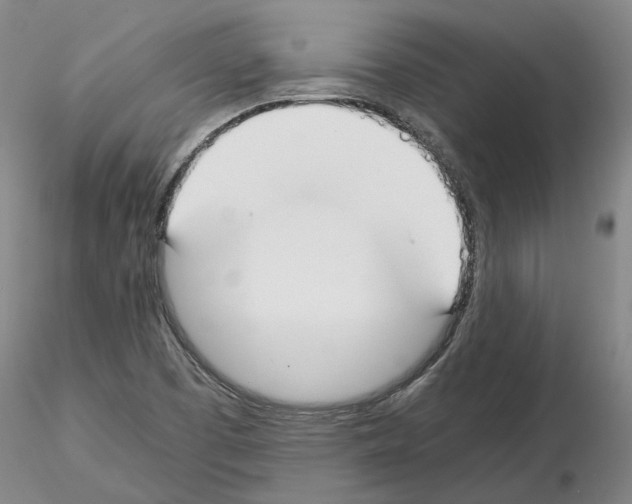 X0000115001457200912071128