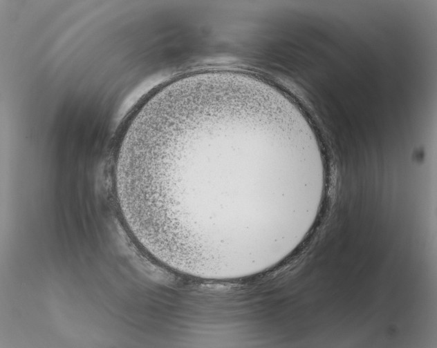 X0000115001458200912071128