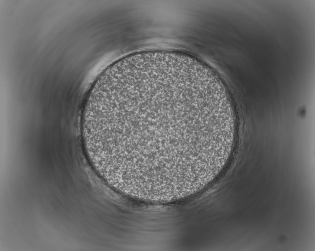 X0000115001459200912071128