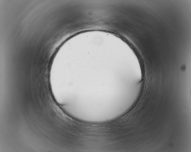 X0000115001460200912071128