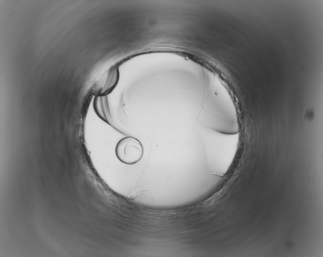 X0000115001461200912071128