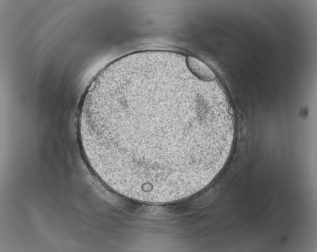 X0000115001463200912071128