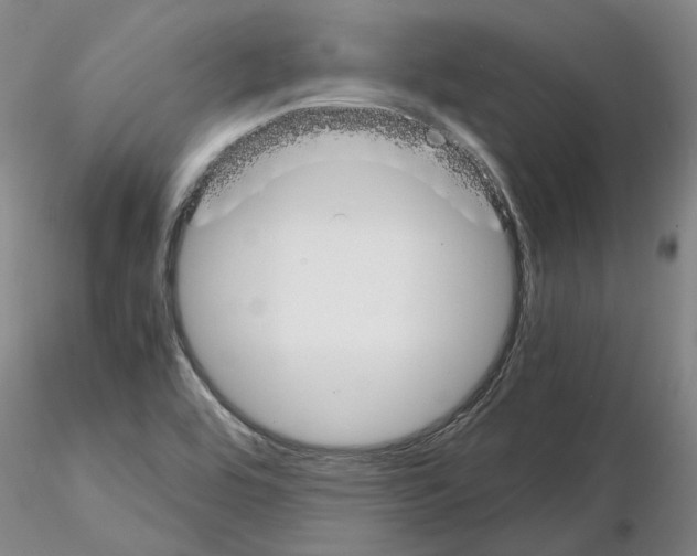 X0000115001464200912071128