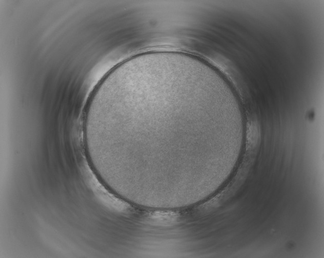 X0000115001466200912071128