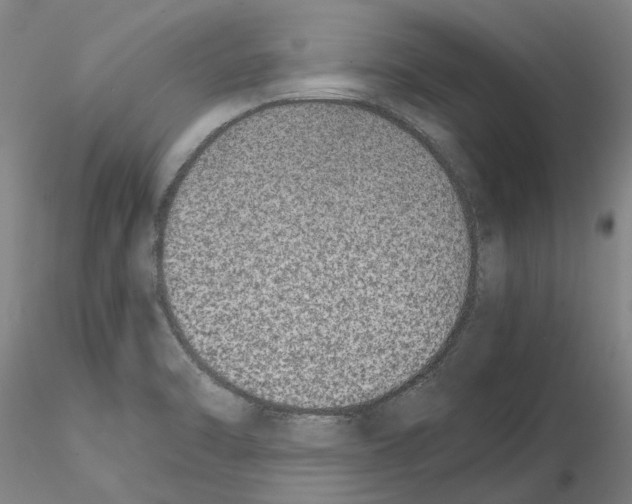 X0000115001470200912071128