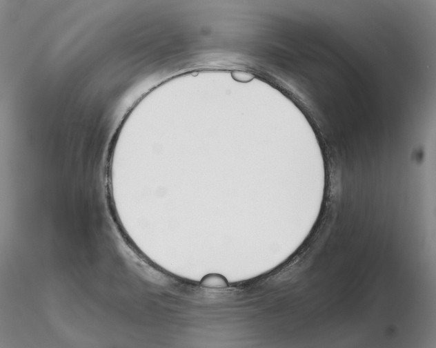 X0000115001471200912071128