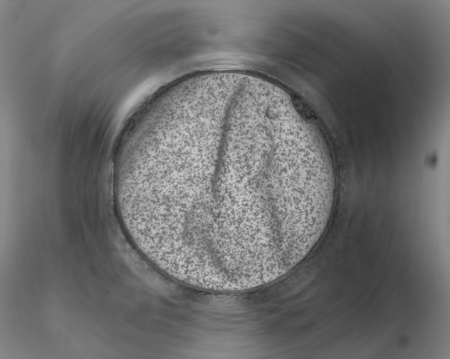 X0000115001472200912071128