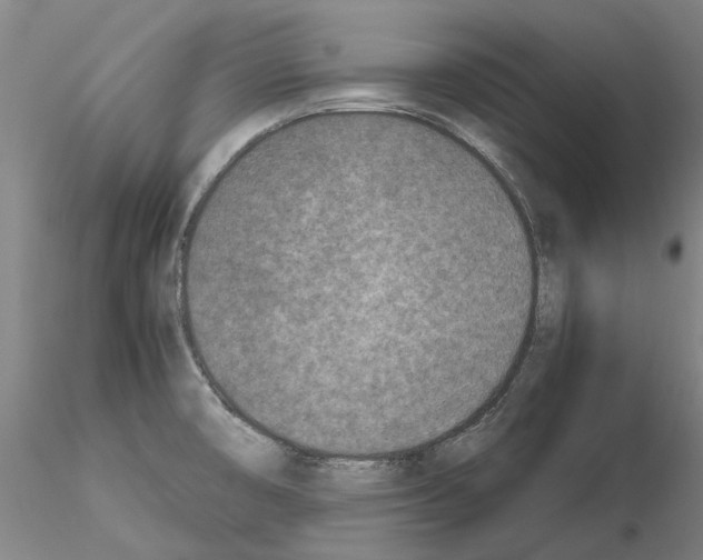 X0000115001474200912071128