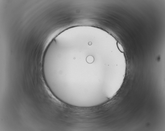 X0000115001477200912071128