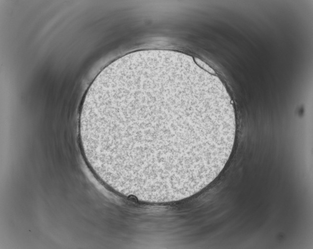 X0000115001479200912071128