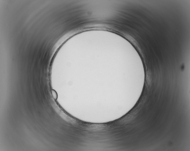 X0000115001482200912071128