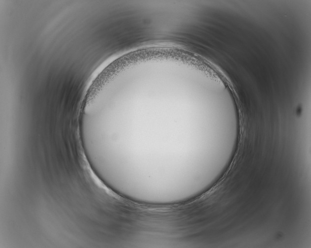 X0000115001484200912071128